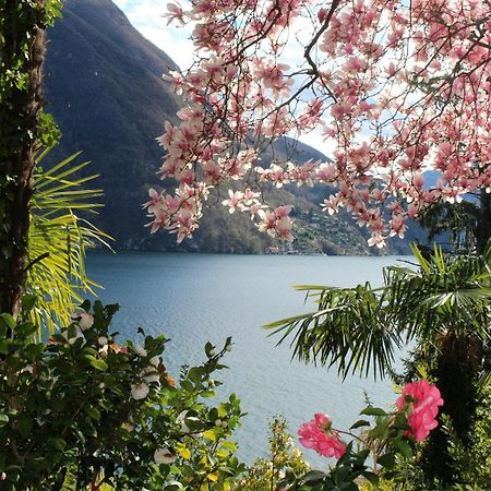 Barony Olive 2 Personen Mit Hund Lägenhet Lugano Exteriör bild
